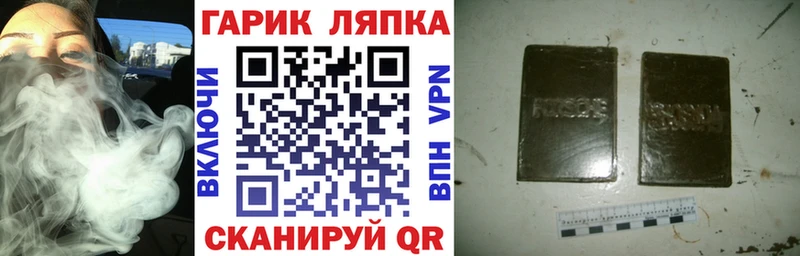 ГАШ Ice-O-Lator  Купить где  Пересвет 