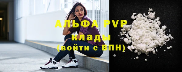 гидра Богородицк