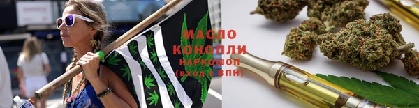 гидра Богородицк