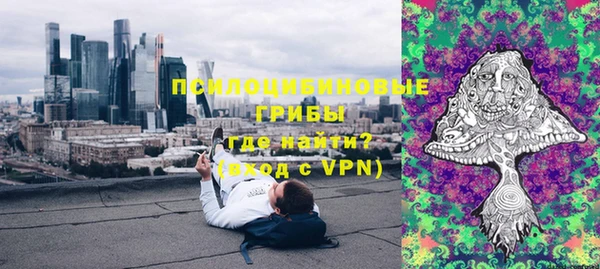гидра Богородицк