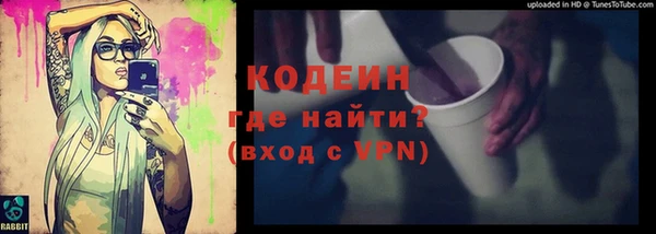 гидра Богородицк