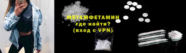 гидра Богородицк