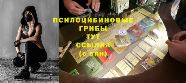 гидра Богородицк
