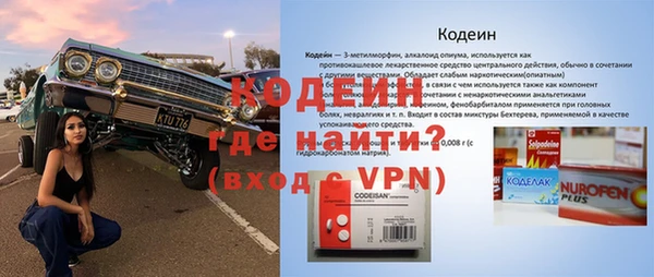 гидра Богородицк