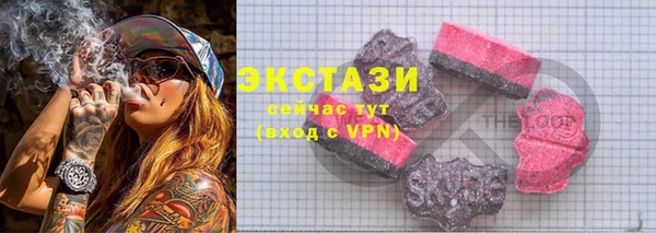 гидра Богородицк