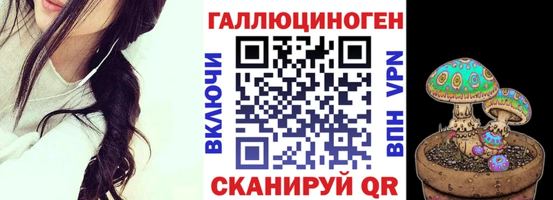 Купить  Пересвет  Псилоцибиновые грибы мицелий 